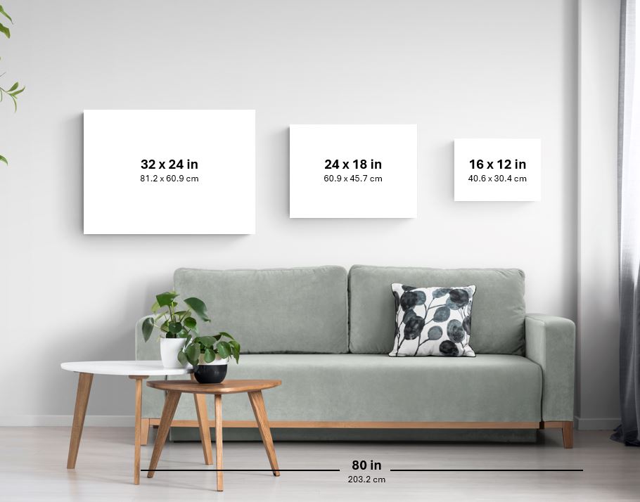 The Vision Within Canvas Print