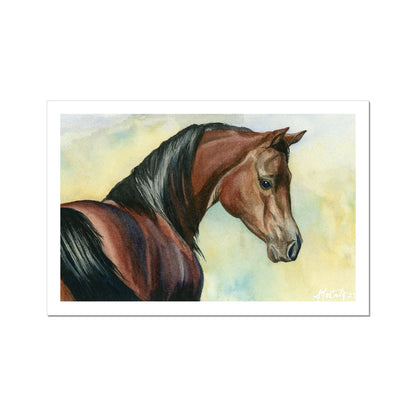 Hey Bay Canvas Print