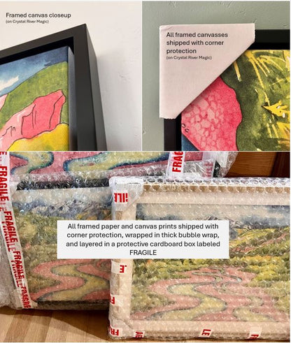 The Vision Within Canvas Print