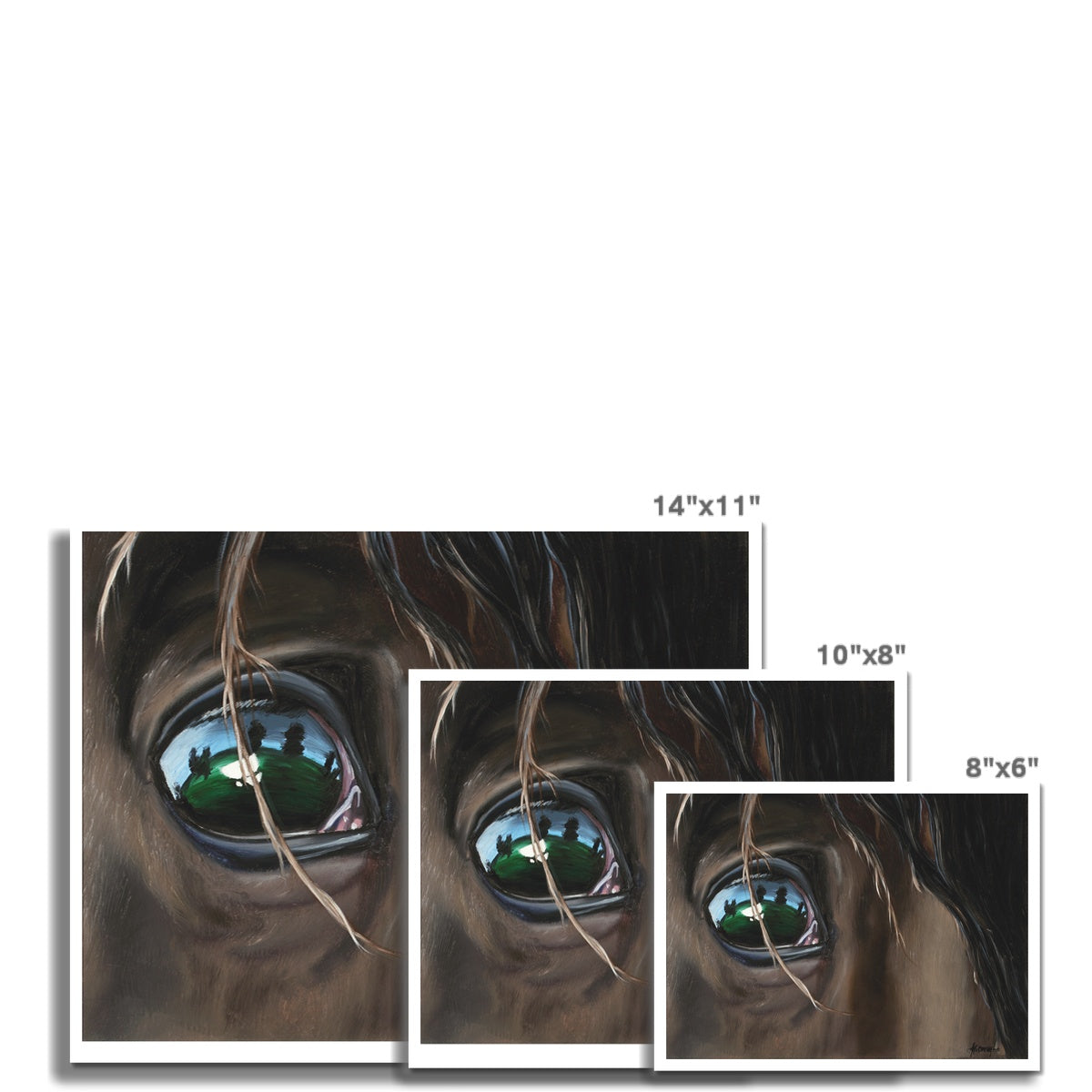 Cherokee Eye Fine Art Print