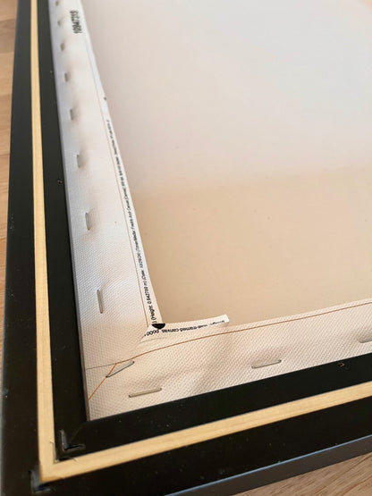 I Am the Rock Canvas Print