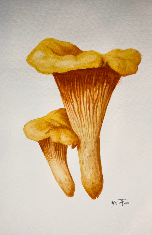 Ecofriendly Mushroom Painting | Chanterelles Art |The Sage Leaf Studio