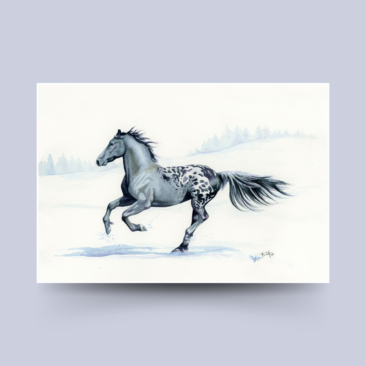 Winter Warrior Fine Art Print